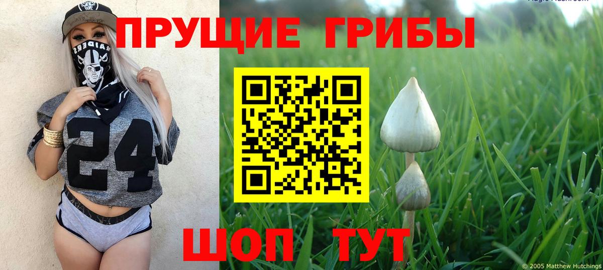 Галлюциногенные грибы мицелий  Псилоцибиновые грибы прущие грибы  Вход с VPN  что такое наркотик  Зеленокумск 