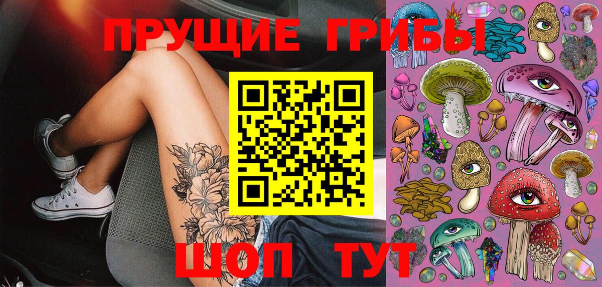 Псилоцибиновые грибы мицелий Зеленокумск
